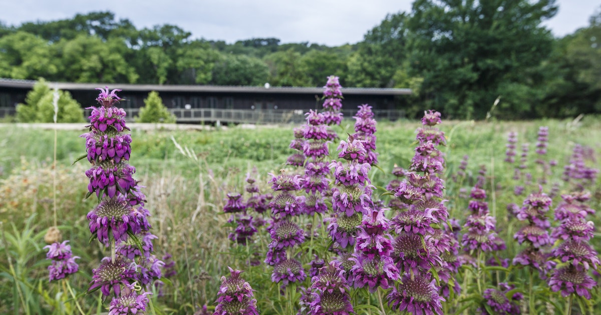 First Saturday at Dogwood Canyon Audubon Center