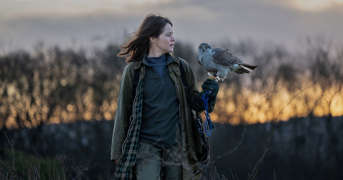 How the New ‘H Is for Hawk’ Movie Brought its Goshawk Stars to the Screen How the New ‘H Is for Hawk’ Movie Brought its Goshawk Stars to the Screen