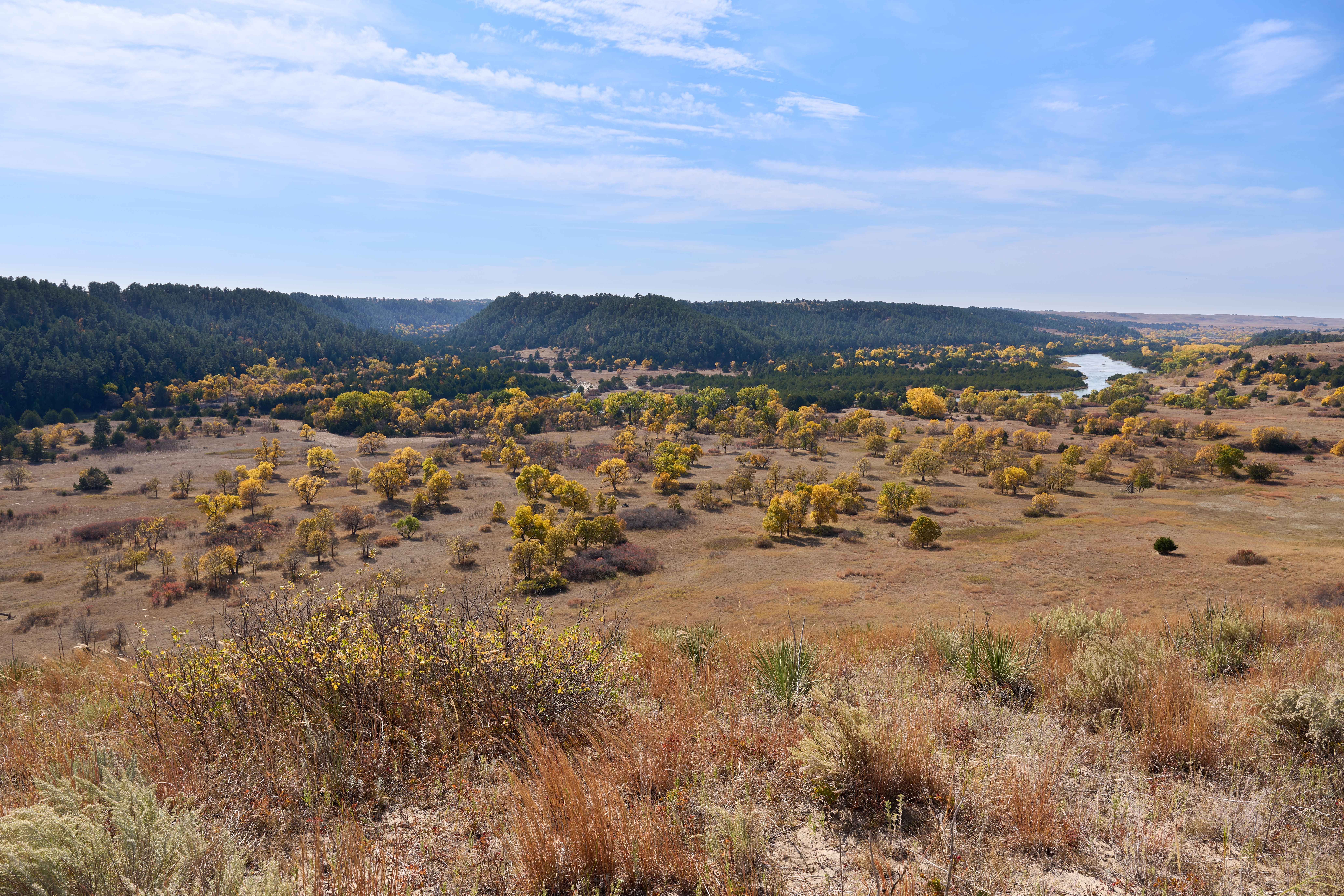 ranch landscape with blue skies