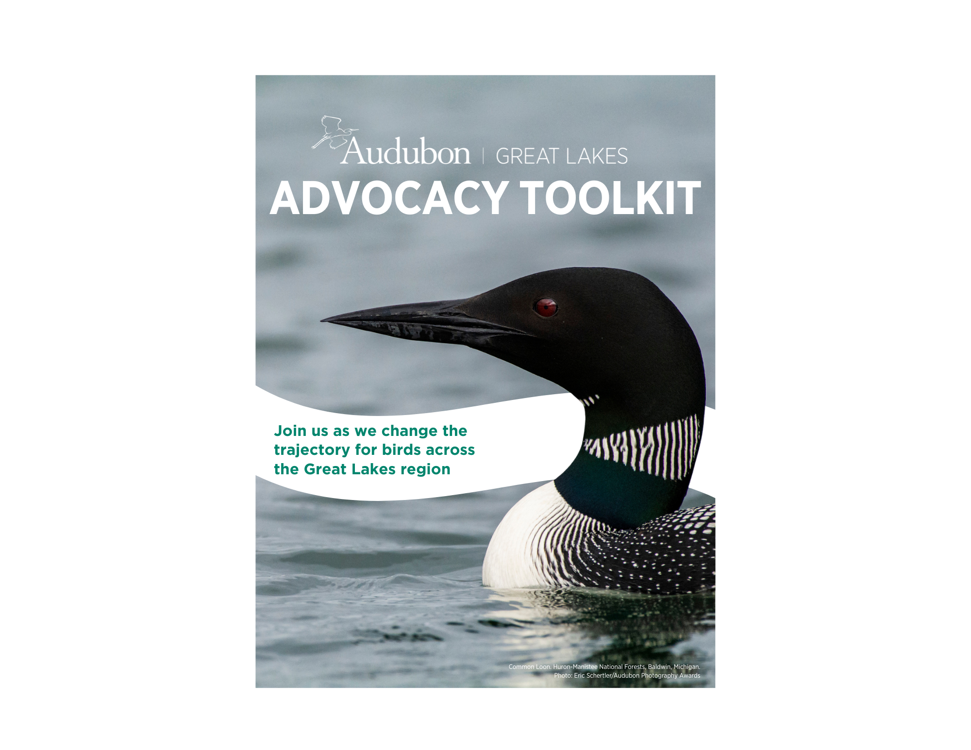 Cover of Great Lakes Advocacy Toolkit
