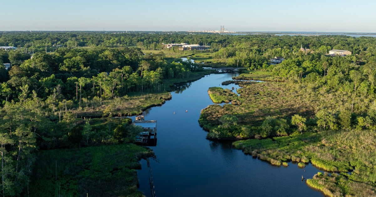 Pascagoula River Audubon Center Field Trips photo from the official site