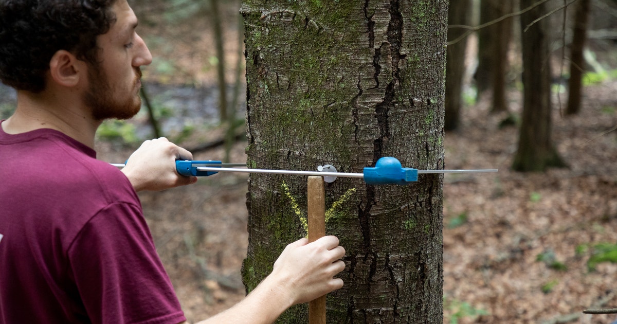 This Program Gives Local High Schoolers Hands-on Forestry Training—and a Paycheck This Program Gives Local High Schoolers Hands-on Forestry Training—and a Paycheck