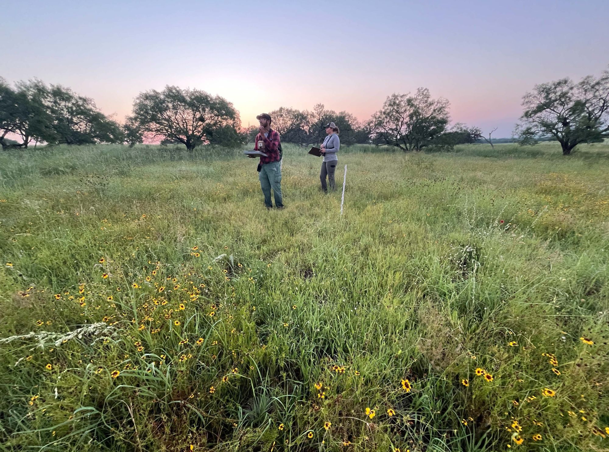 Audubon Conservation Ranching 