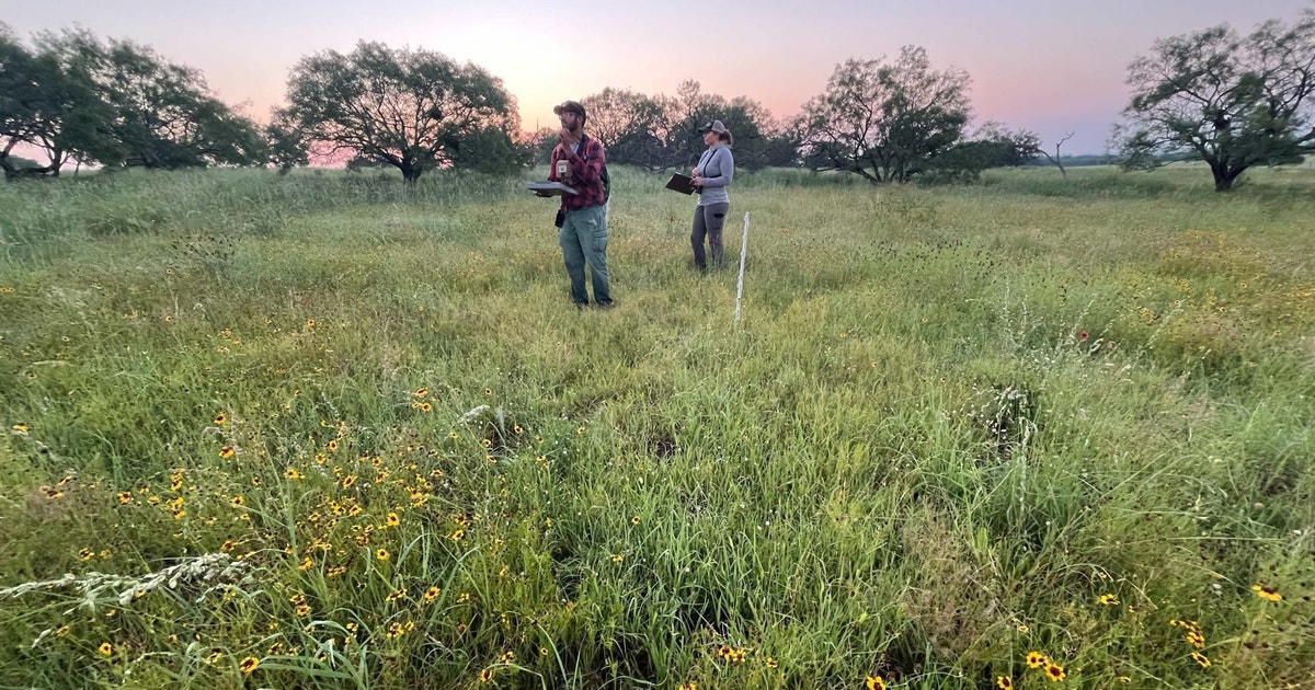 Conservation Ranching Audubon Conservation Ranching in Texas | Audubon