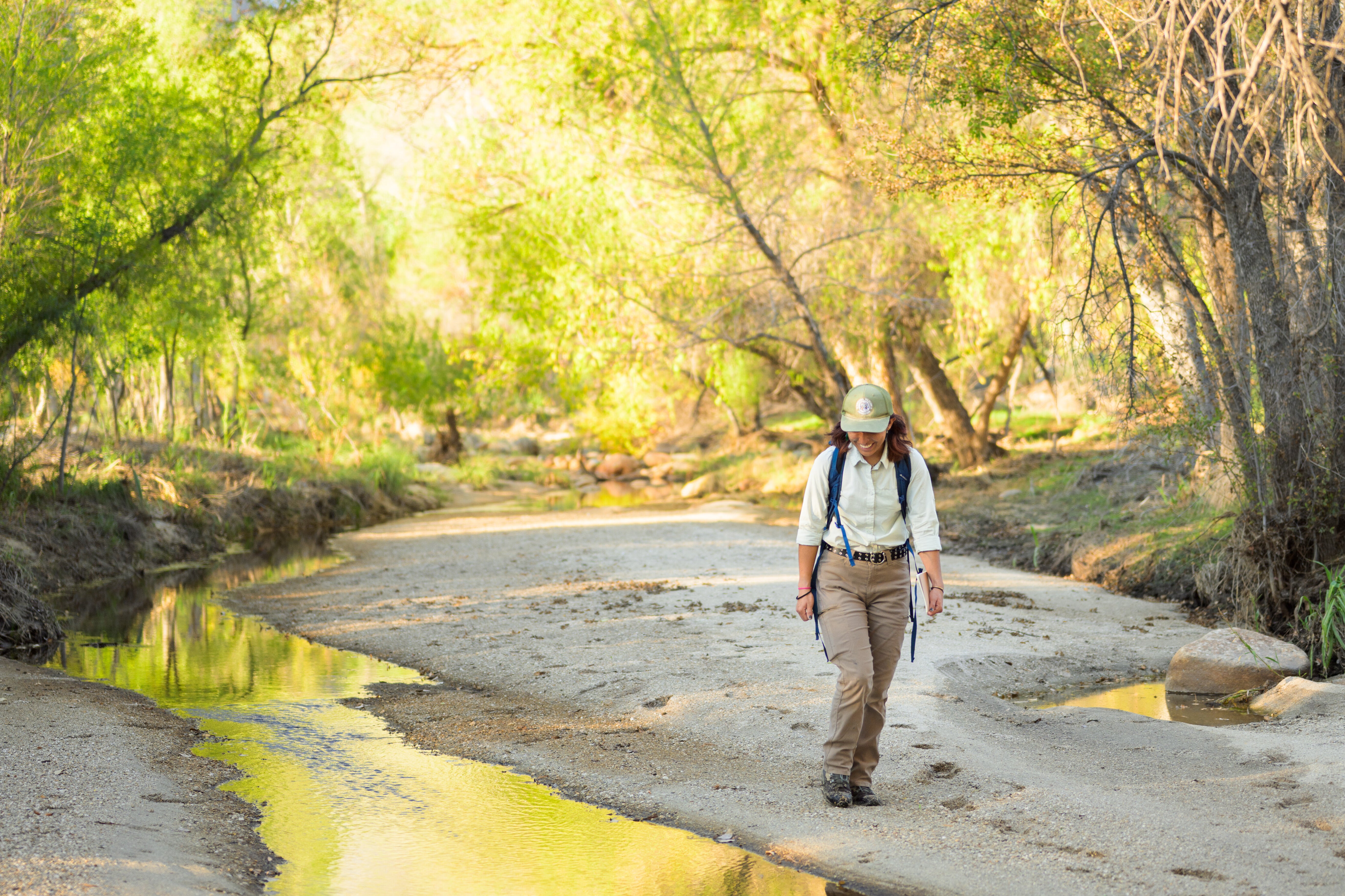 Hiking along Sabino Creek
