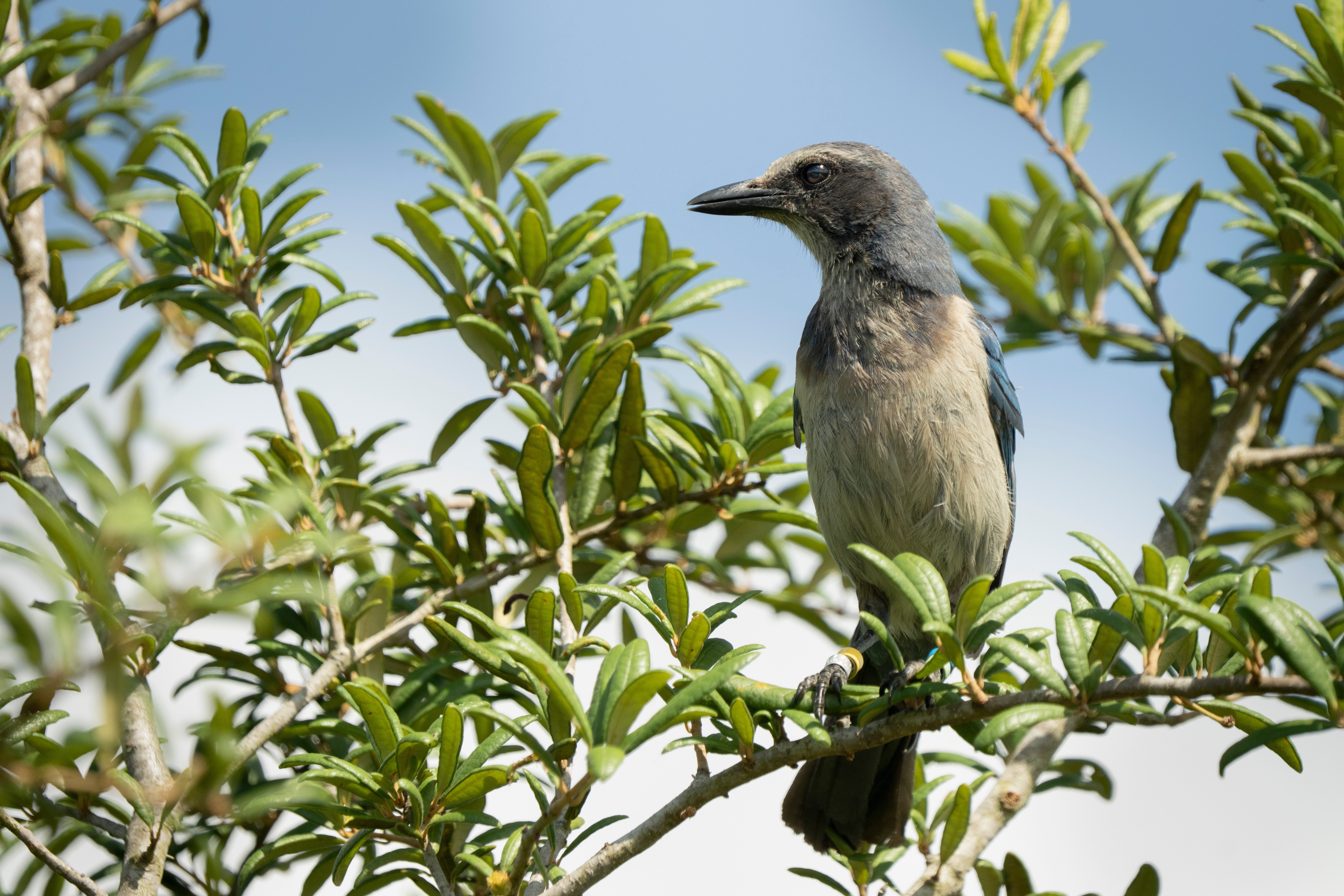A bird sits on a tree branch looking to the left of the frame