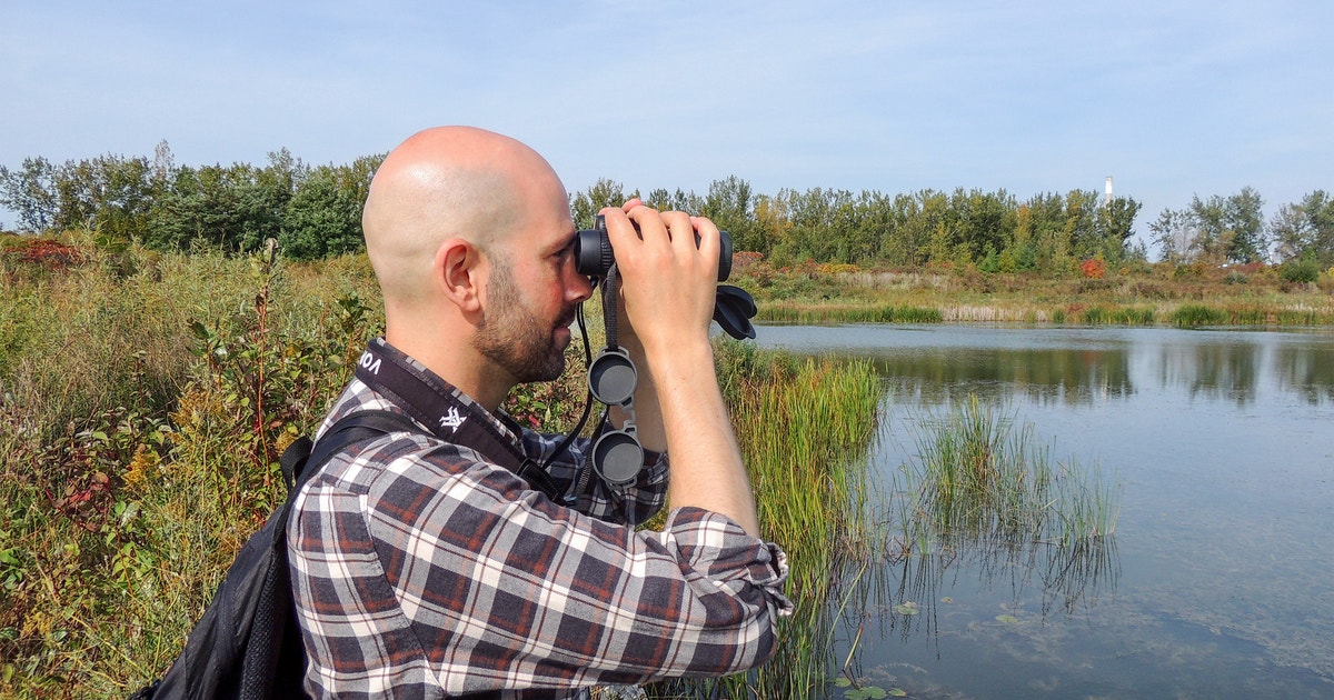 What It’s Like Inside the Brain of An Expert Birder What It’s Like Inside the Brain of An Expert Birder