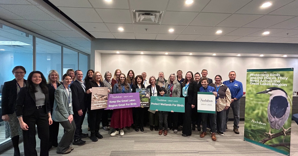Audubon Advocates Gather at Statehouse, Call for Wetland Protections and Renewable Energy Solutions to Protect Birds Audubon Advocates Gather at Statehouse, Call for Wetland Protections and Renewable Energy Solutions to Protect Birds