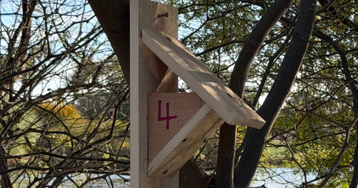 Chapters’ Corner, March 2026 | Audubon Chapters’ Corner, March 2026 | Audubon