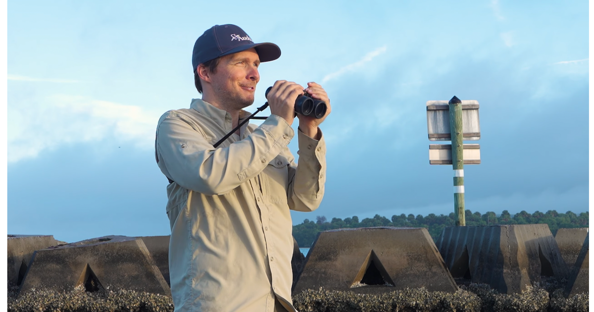 New Video Highlights Florida Coastal Islands Sanctuary Living Shorelines