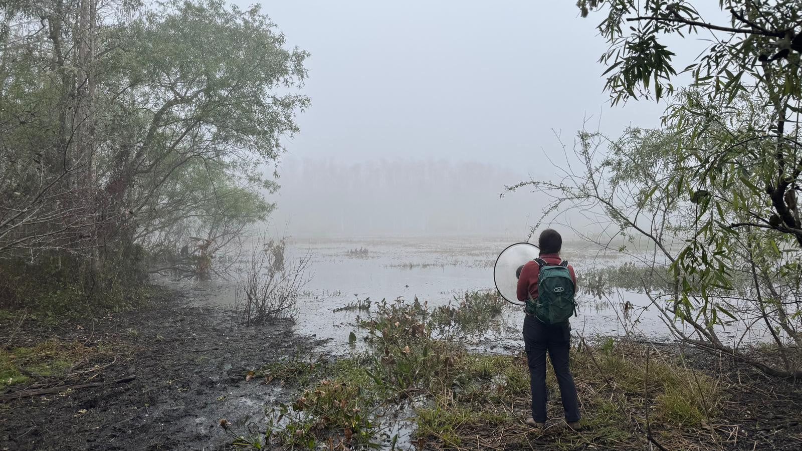 A person holding a listening device at a wetland