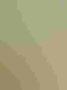 Florida Audubon Society