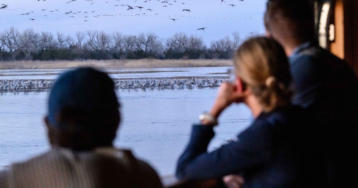From the Director’s Desk: 2026 Crane Season Wrap Up