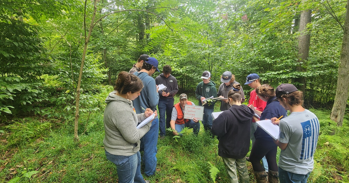 From Streams to Canopy: A Forester’s Growth Through Audubon Training From Streams to Canopy: A Forester’s Growth Through Audubon Training