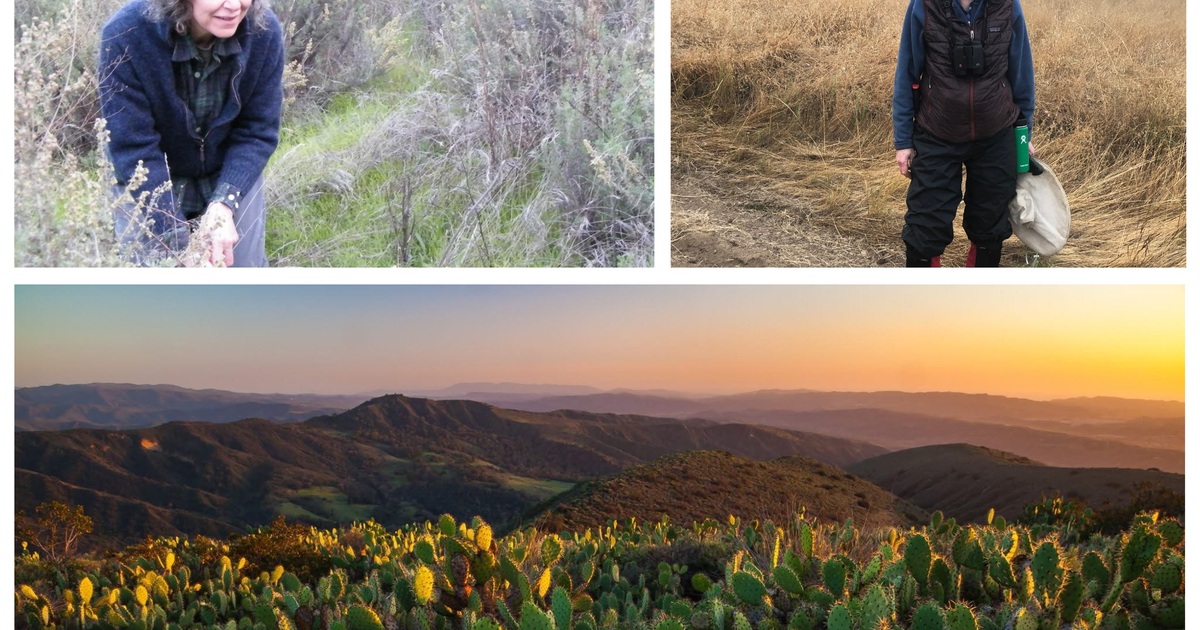 Remembering Dr. Sandy DeSimone | Audubon Remembering Dr. Sandy DeSimone | Audubon