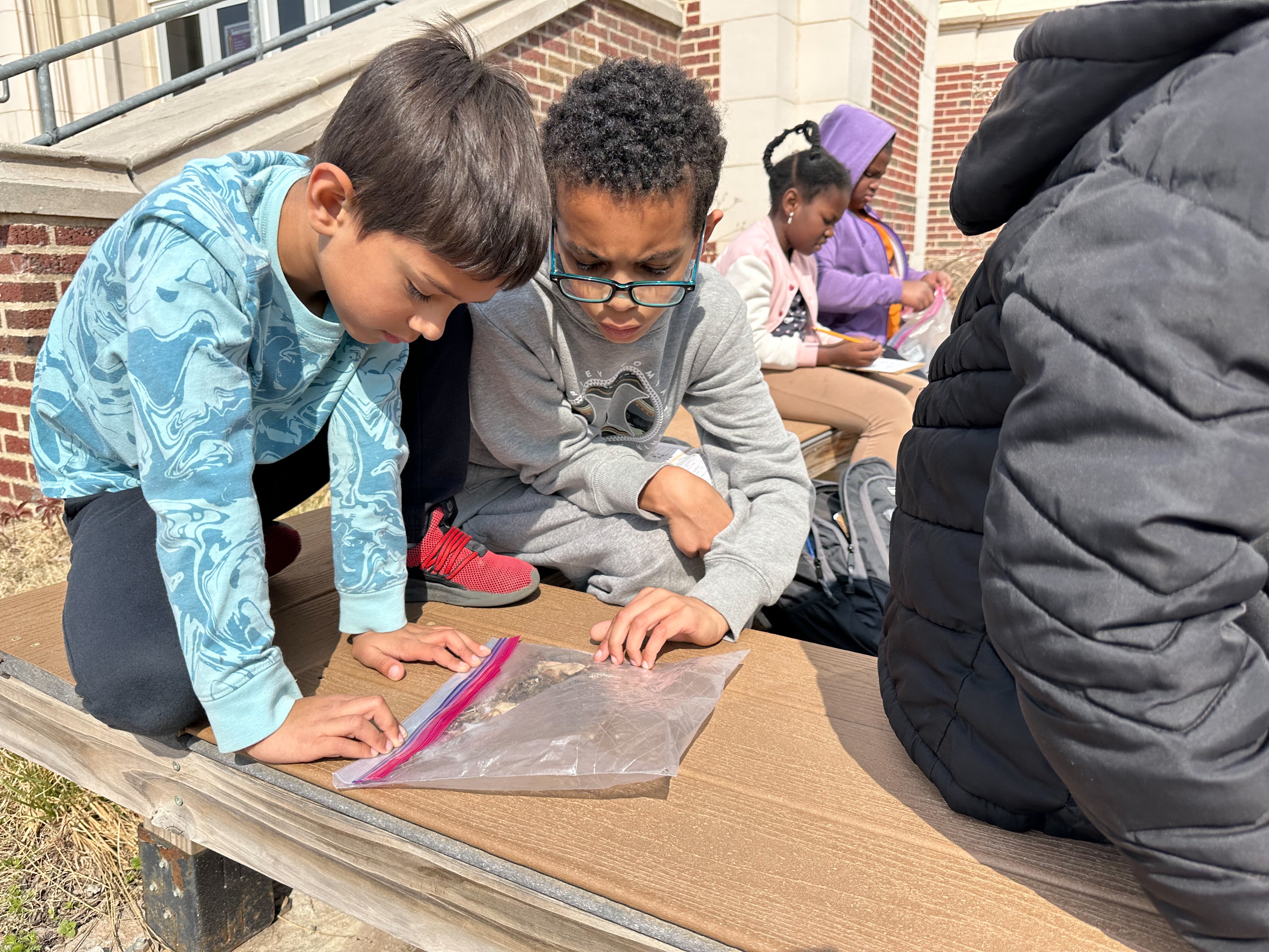 students looking at a bug 