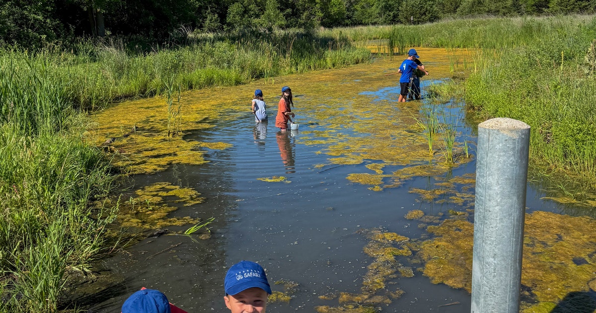 From Curiosity to Connection: Summer Camps at Rowe Sanctuary