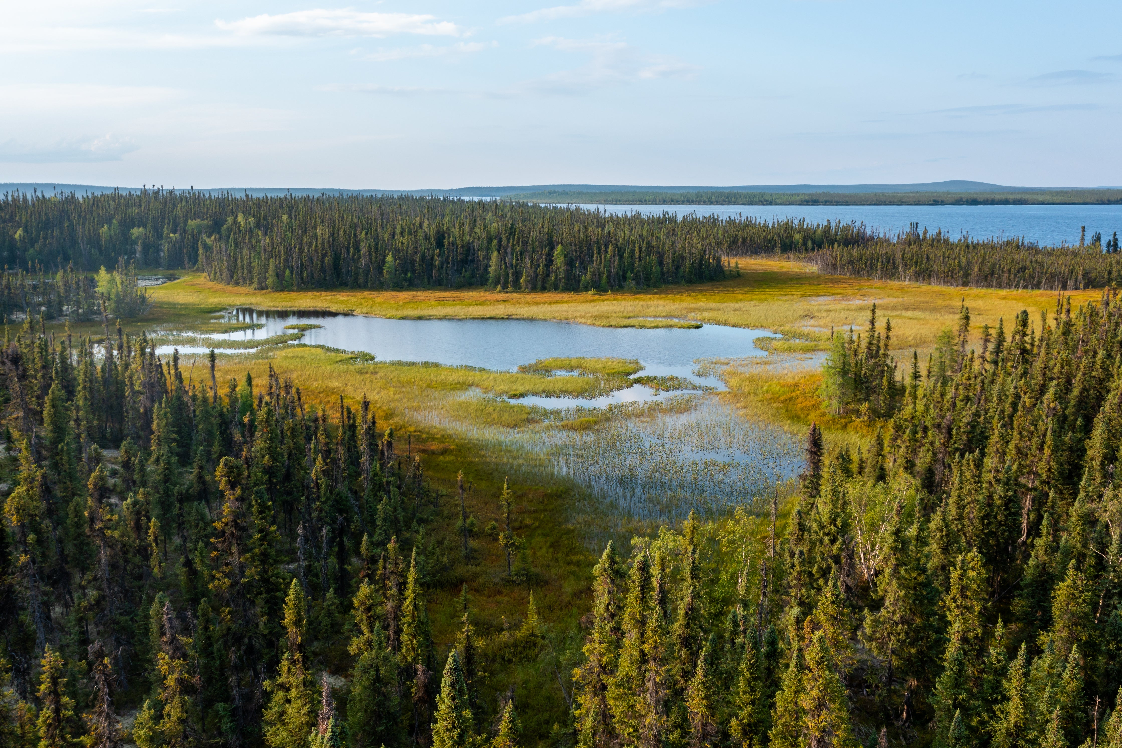 Aerial shot of the watershed.