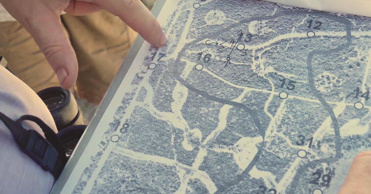 New Video Highlights 25 Years of Jay Watch New Video Highlights 25 Years of Jay Watch