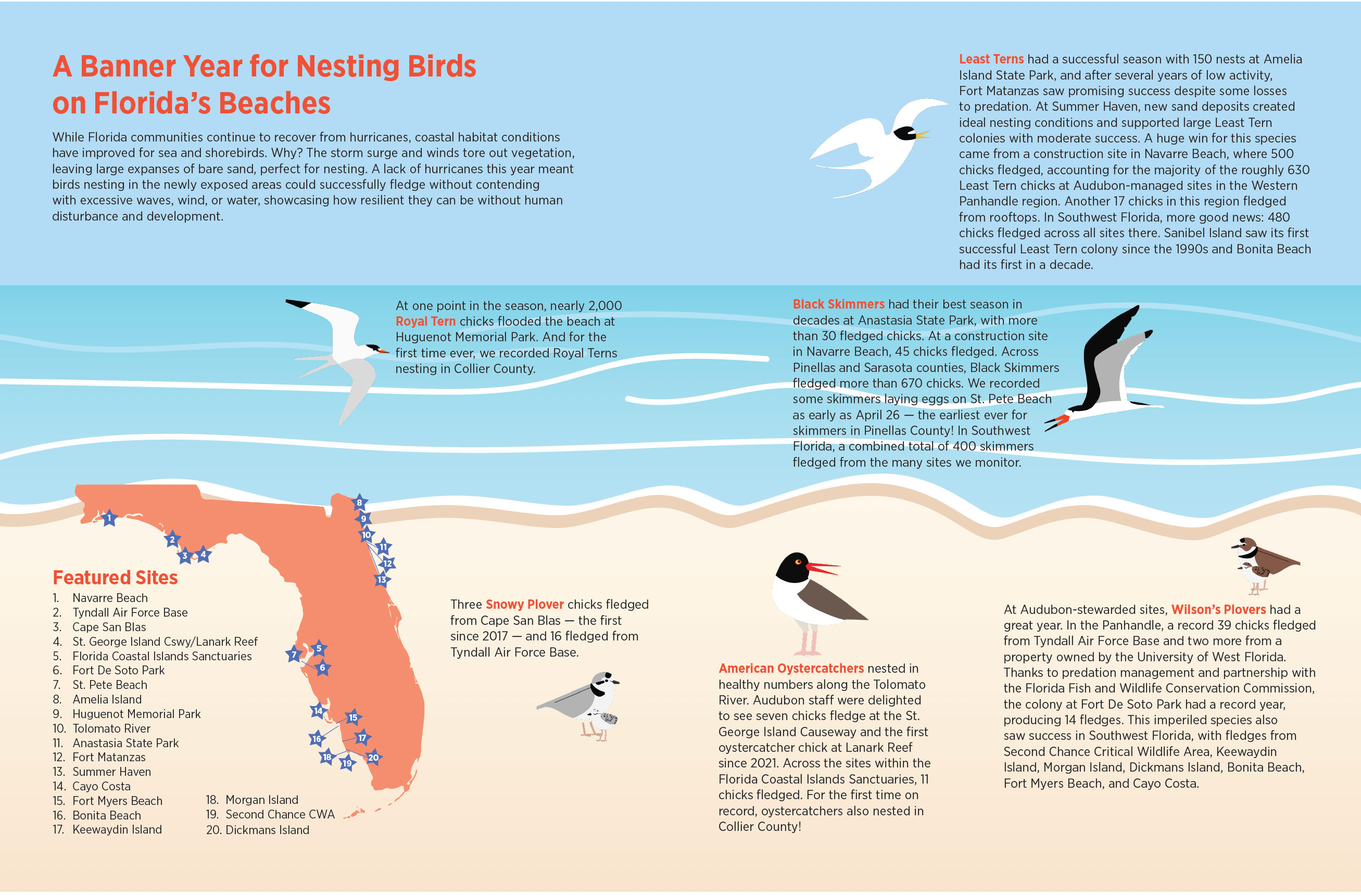 inforgraphic showing 2025 nesting successes