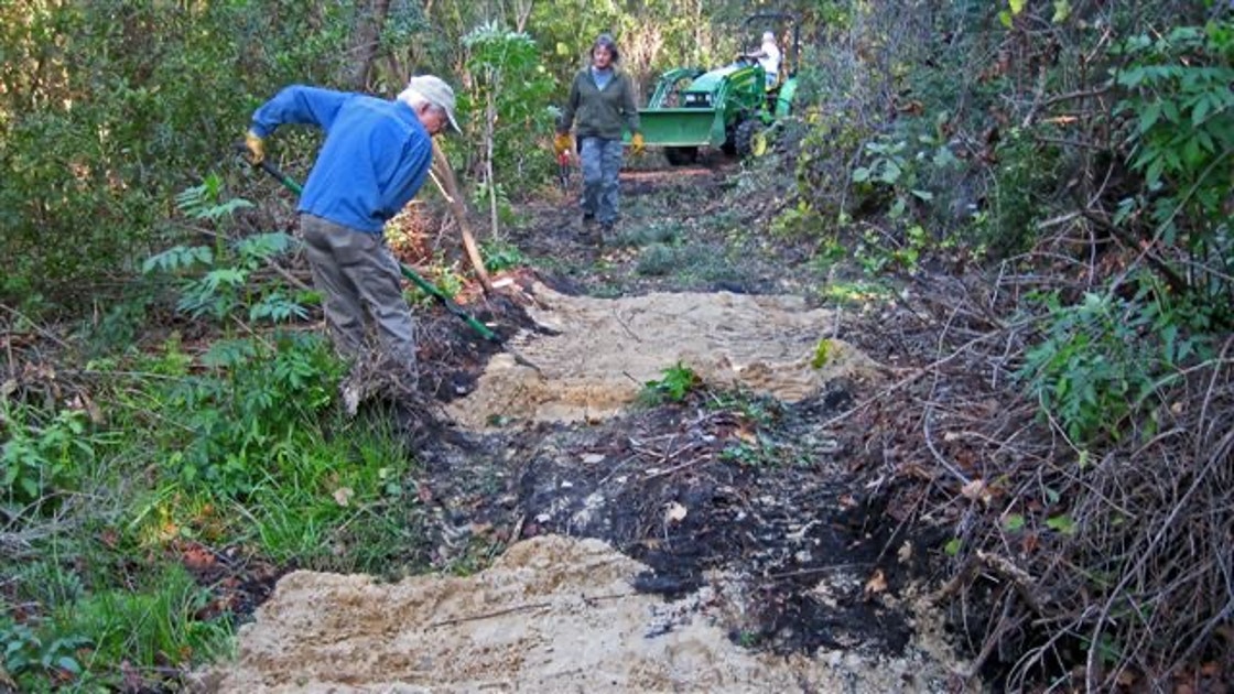 Bay County Audubon Society and Bay County Conservancy Team Up to Protect Preserves and Habitat