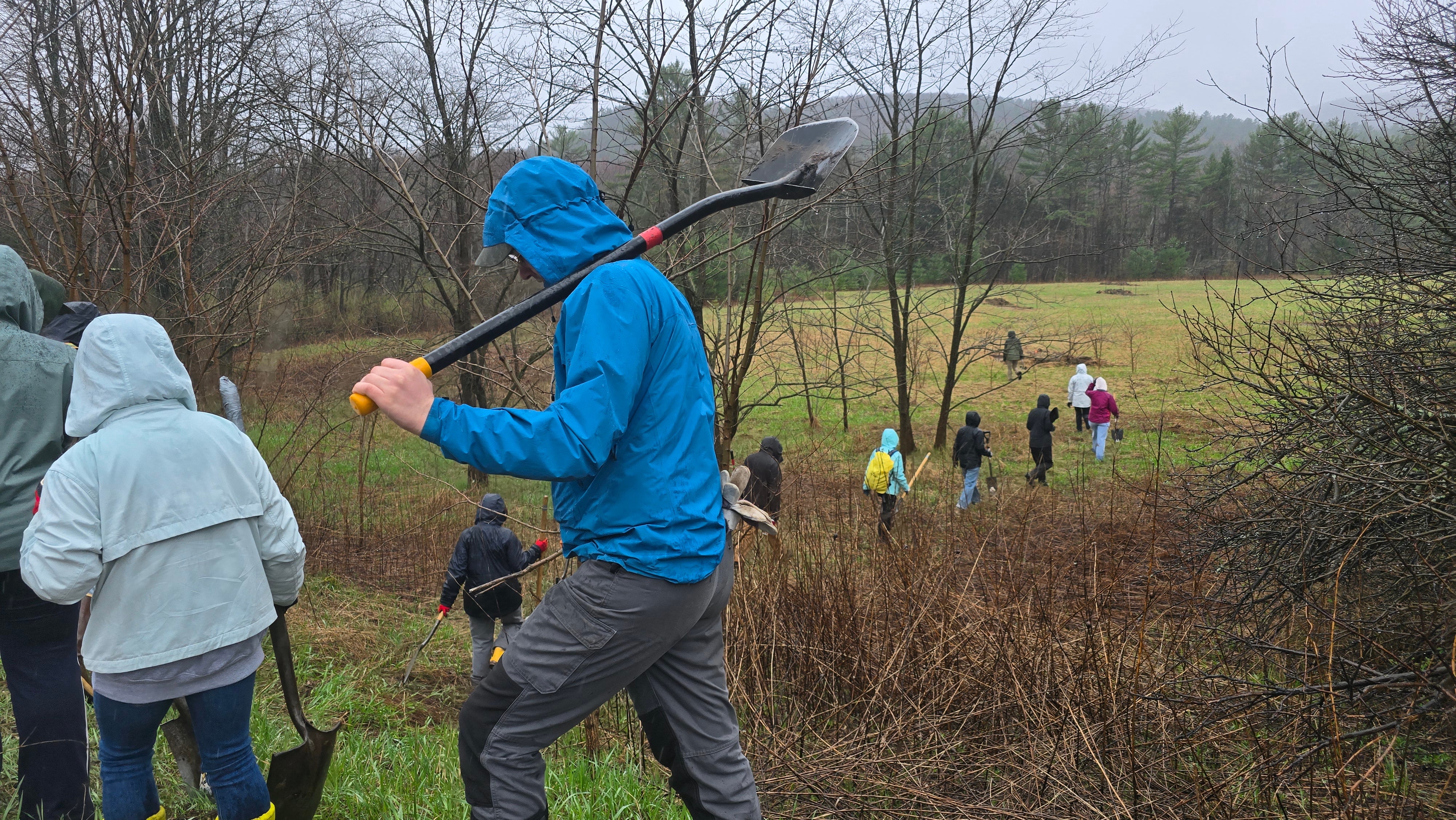 A line of people wearing rain coats and carrying shovels walking into a foggy field.