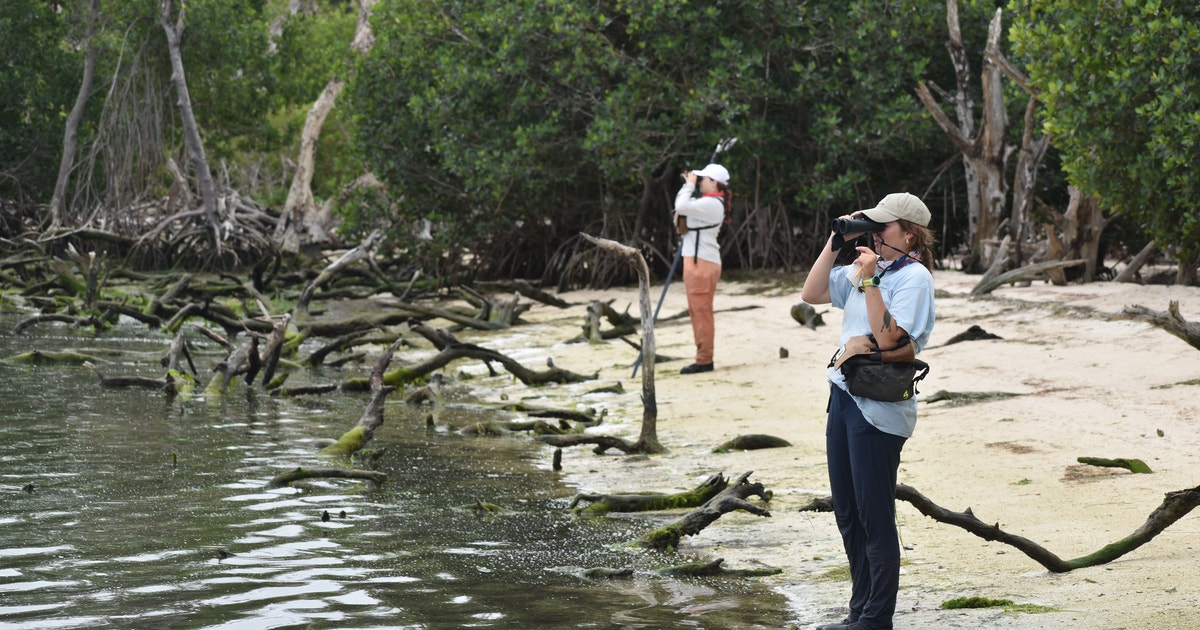 A Day in the Life: Everglades Research Station Bird Biologist A Day in the Life: Everglades Research Station Bird Biologist