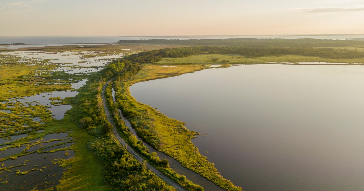 New Funding Will Help Turn the Tide on Salt Marsh Loss in Maryland