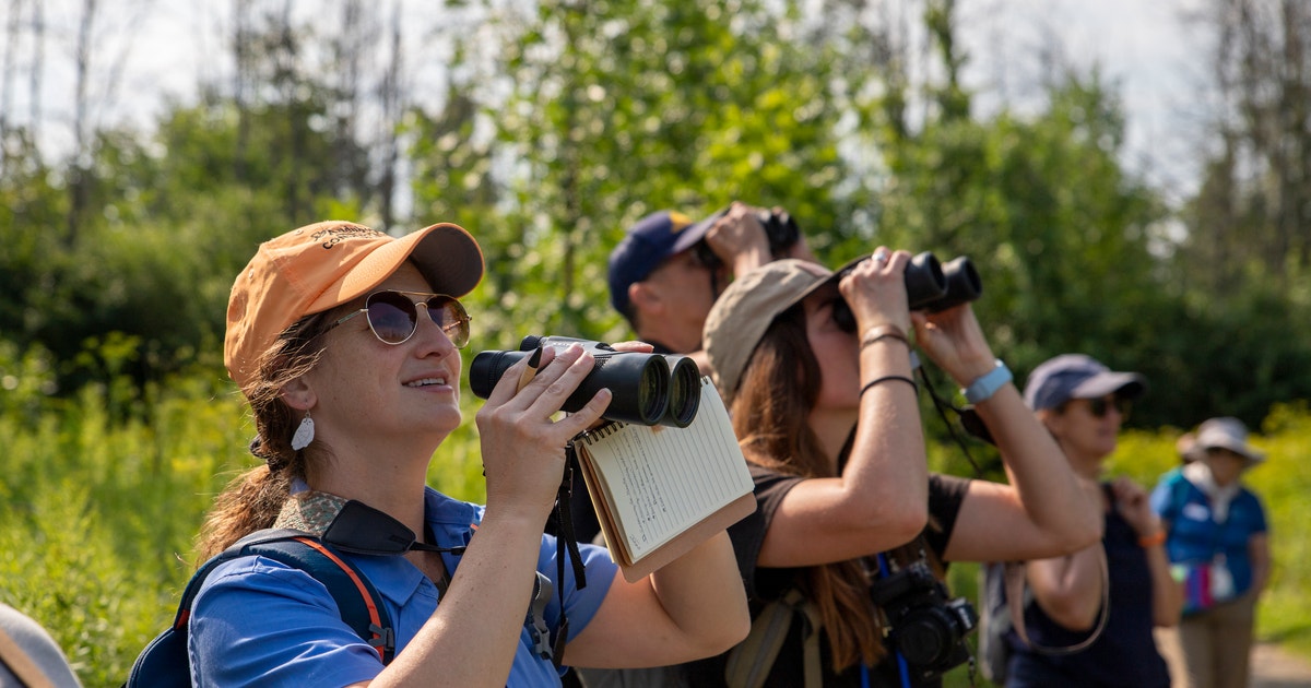 Chapters’ Corner, May 2026 | Audubon Chapters’ Corner, May 2026 | Audubon