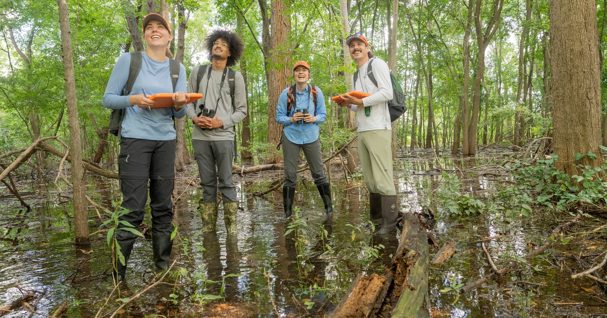 Audubon Center at Riverlands: A Hemispheric Crossroads for Bird Migration and Bottomland Forest Conservation