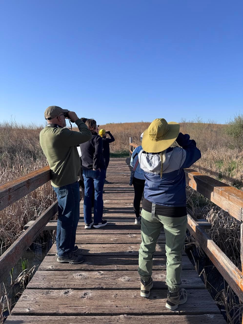 Birders on bridge