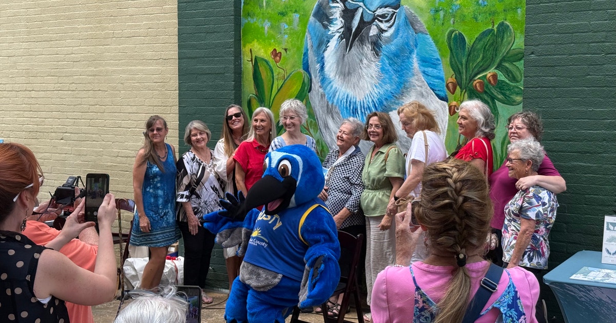New Florida Scrub-Jay Mural Delights Visitors in Downtown DeLand New Florida Scrub-Jay Mural Delights Visitors in Downtown DeLand
