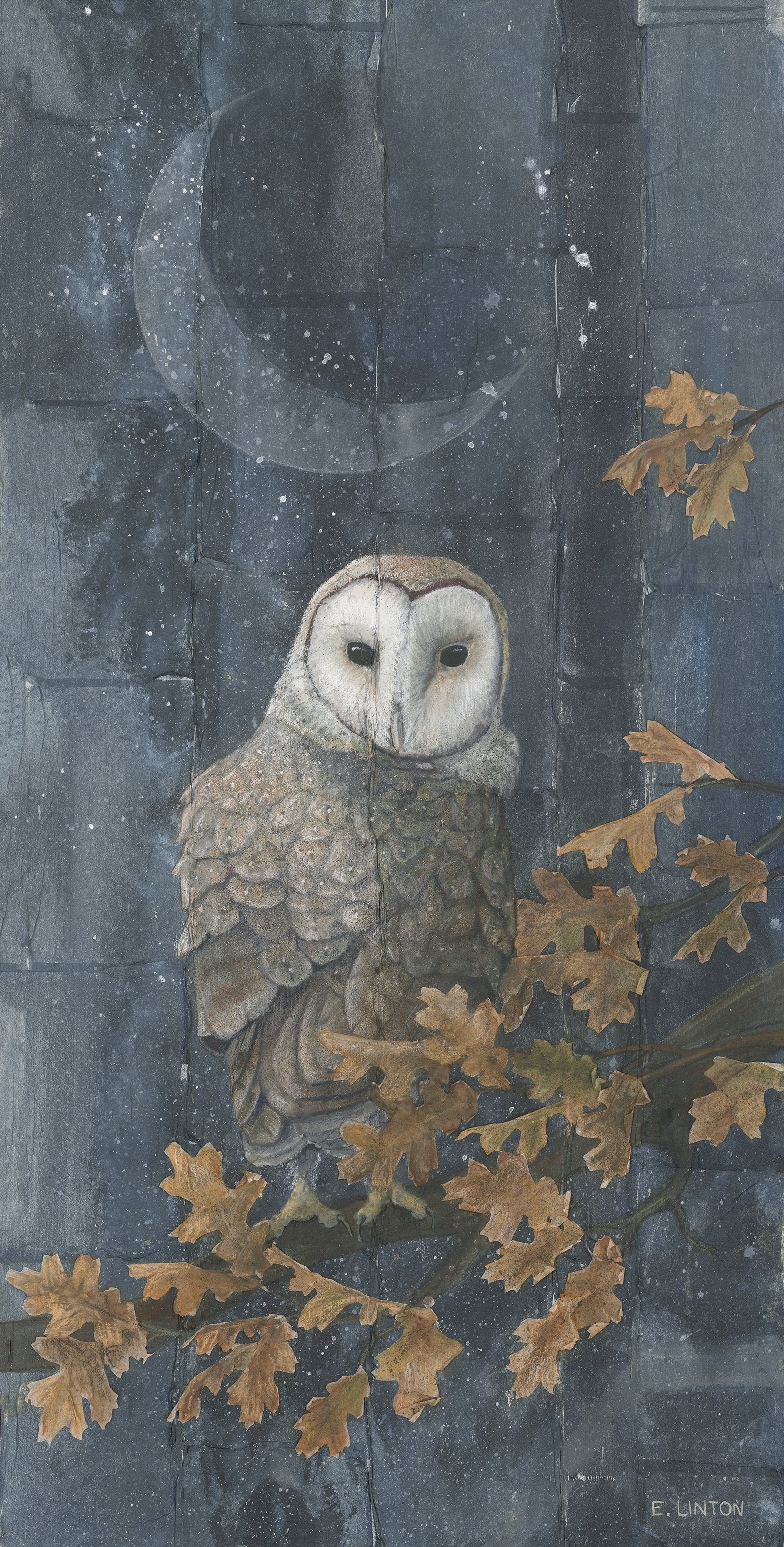 Painting of a Barn Owl