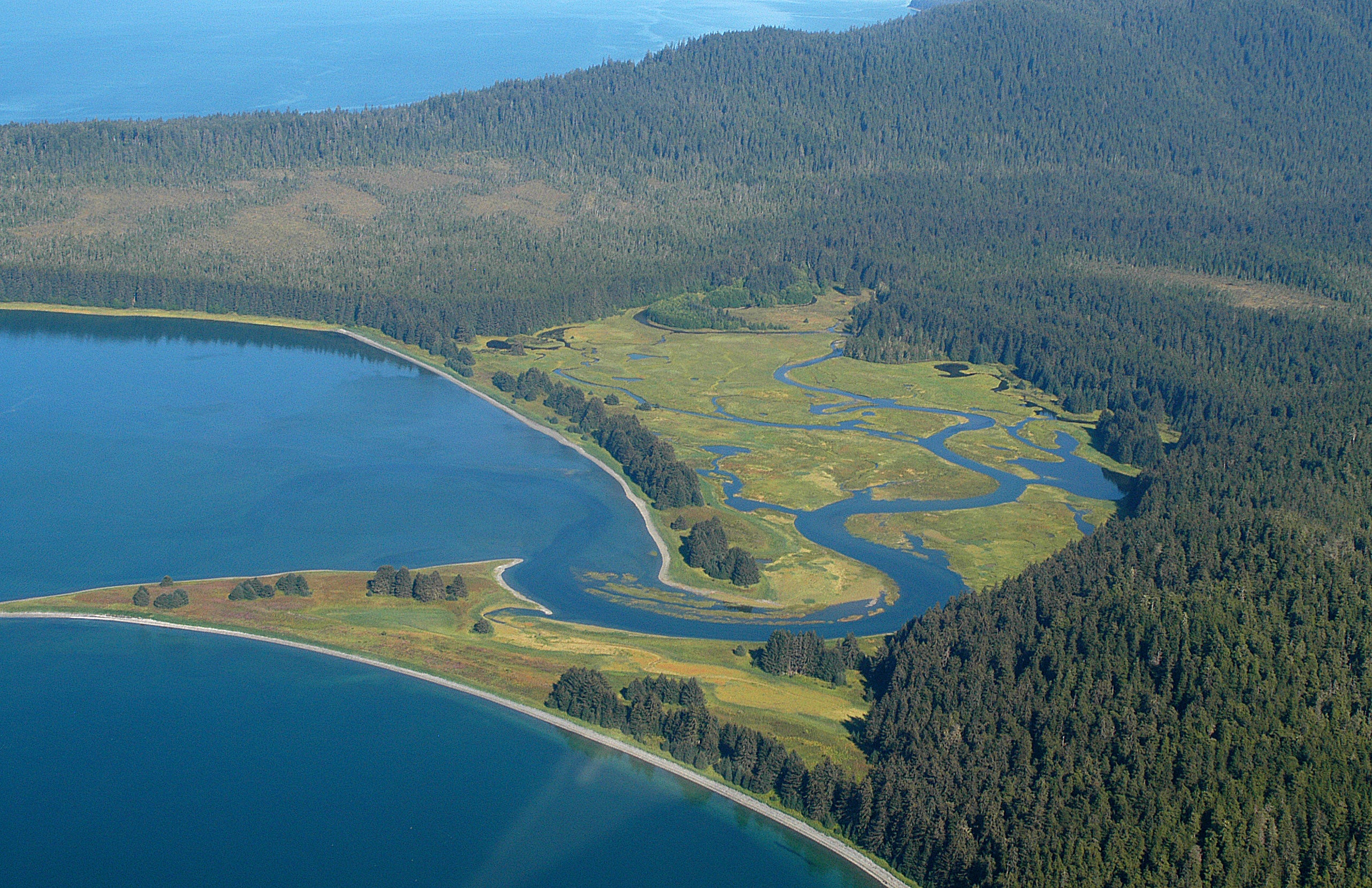 Aerial photo of forested coast