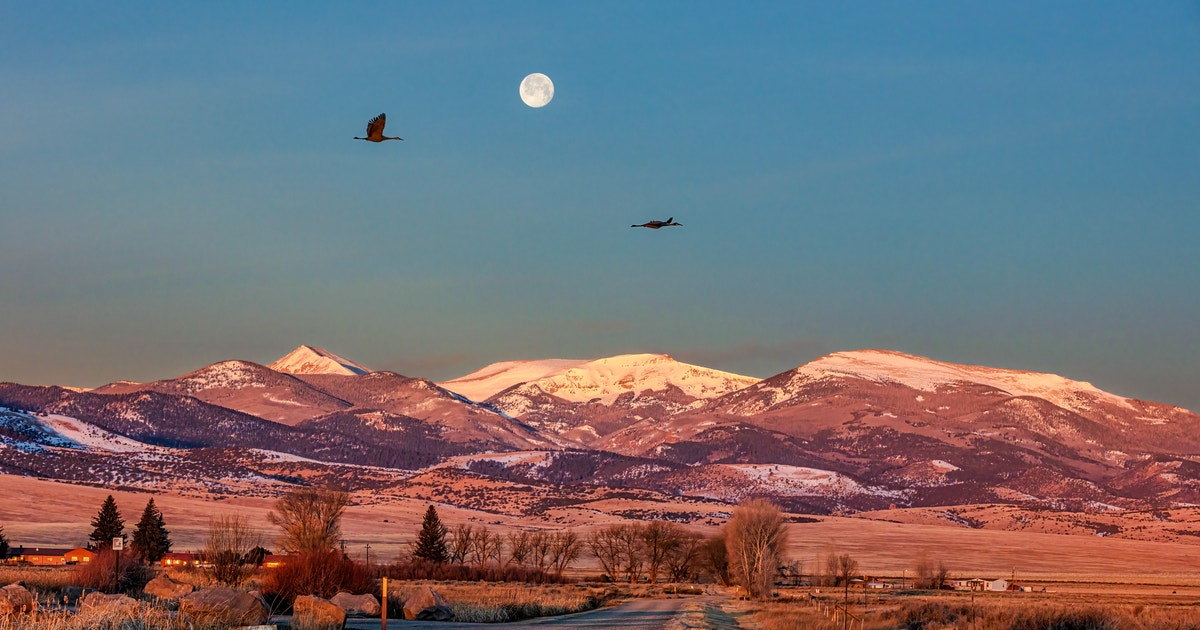 Audubon Welcomes Senate Action on America the Beautiful Act Audubon Welcomes Senate Action on America the Beautiful Act