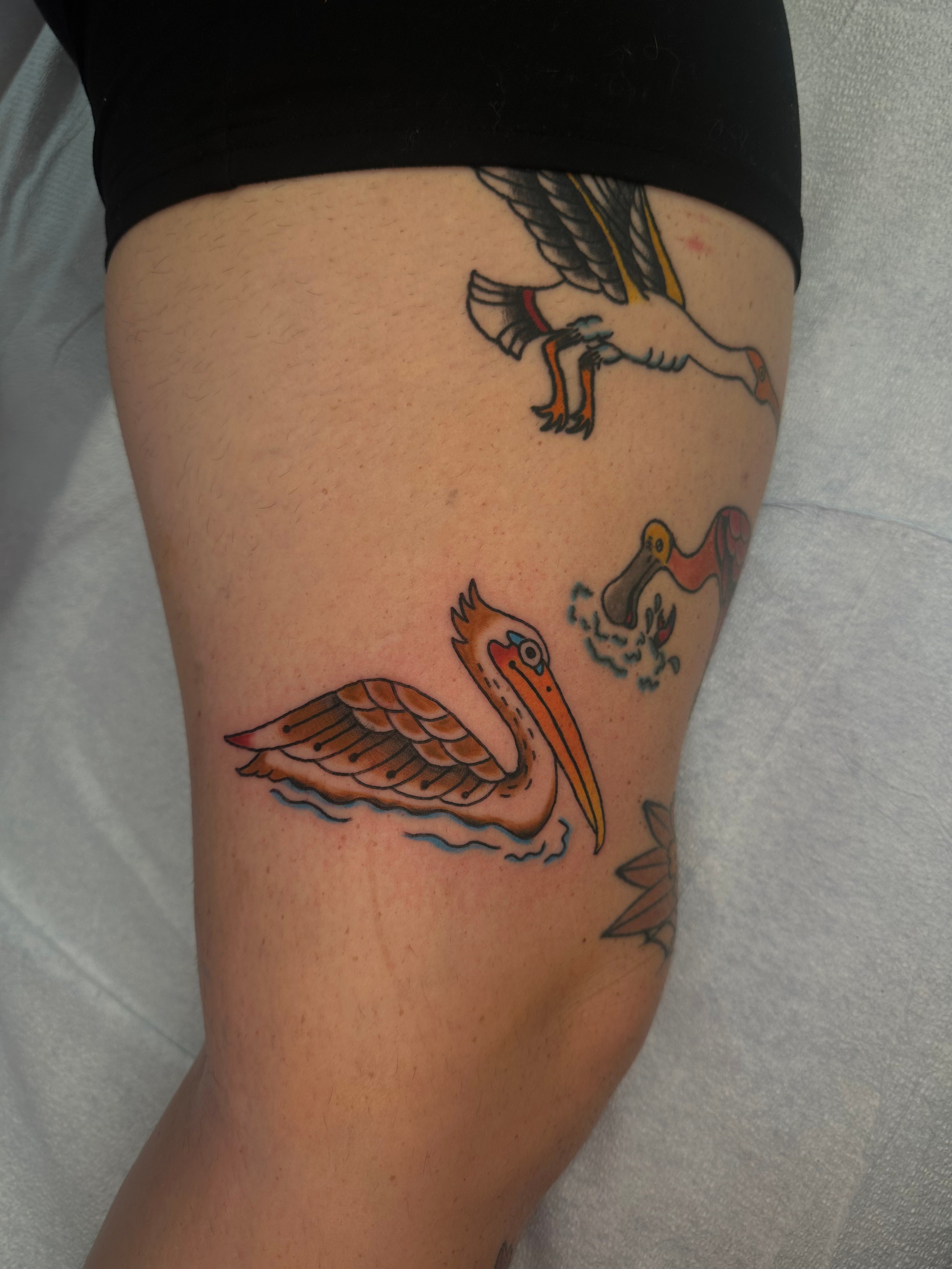 A tattoo of a Brown Pelican on someone's thigh, with other nearby tattoos partially covered by shorts.