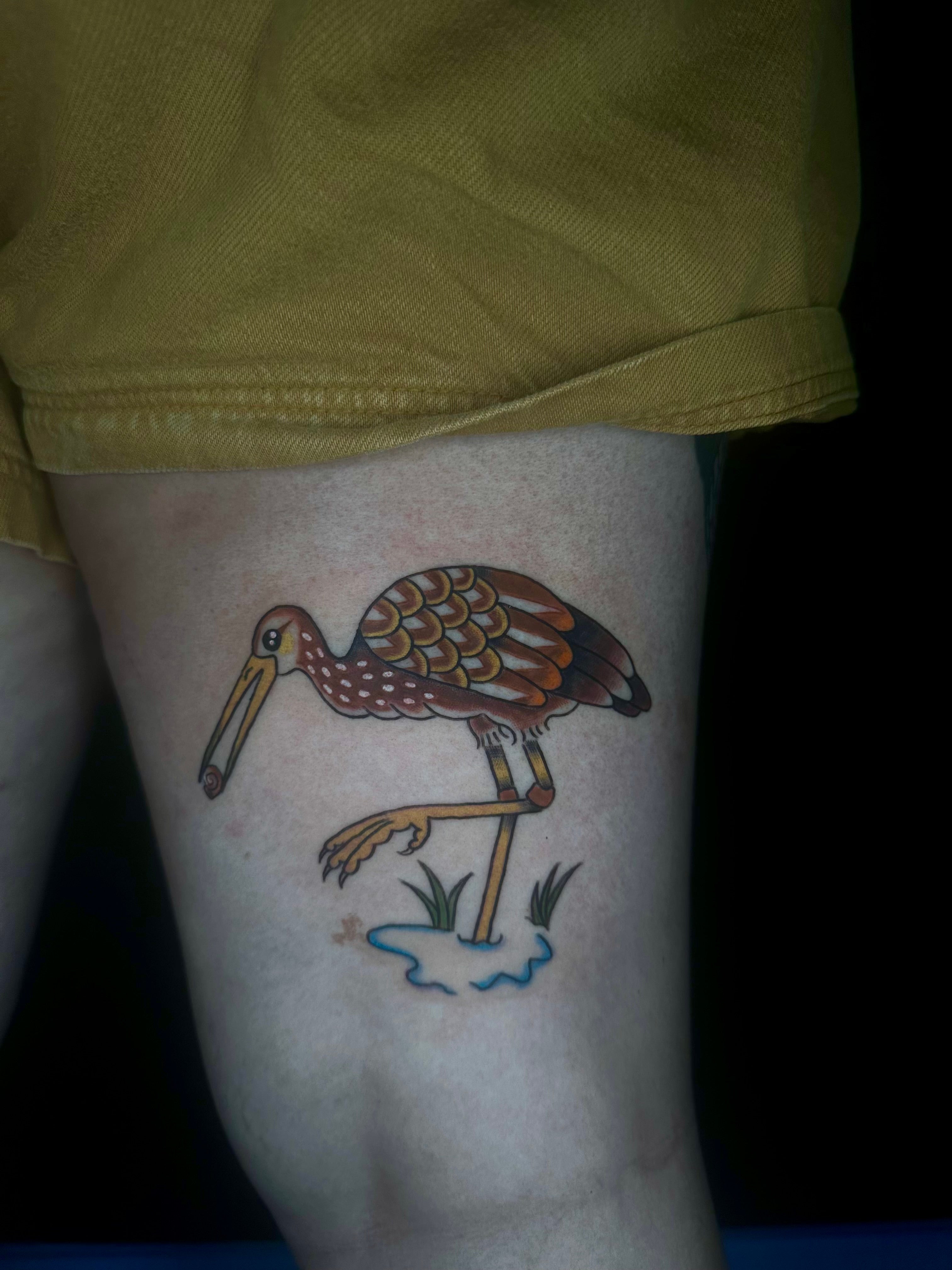 A tattoo of a Limpkin on someone's thigh.