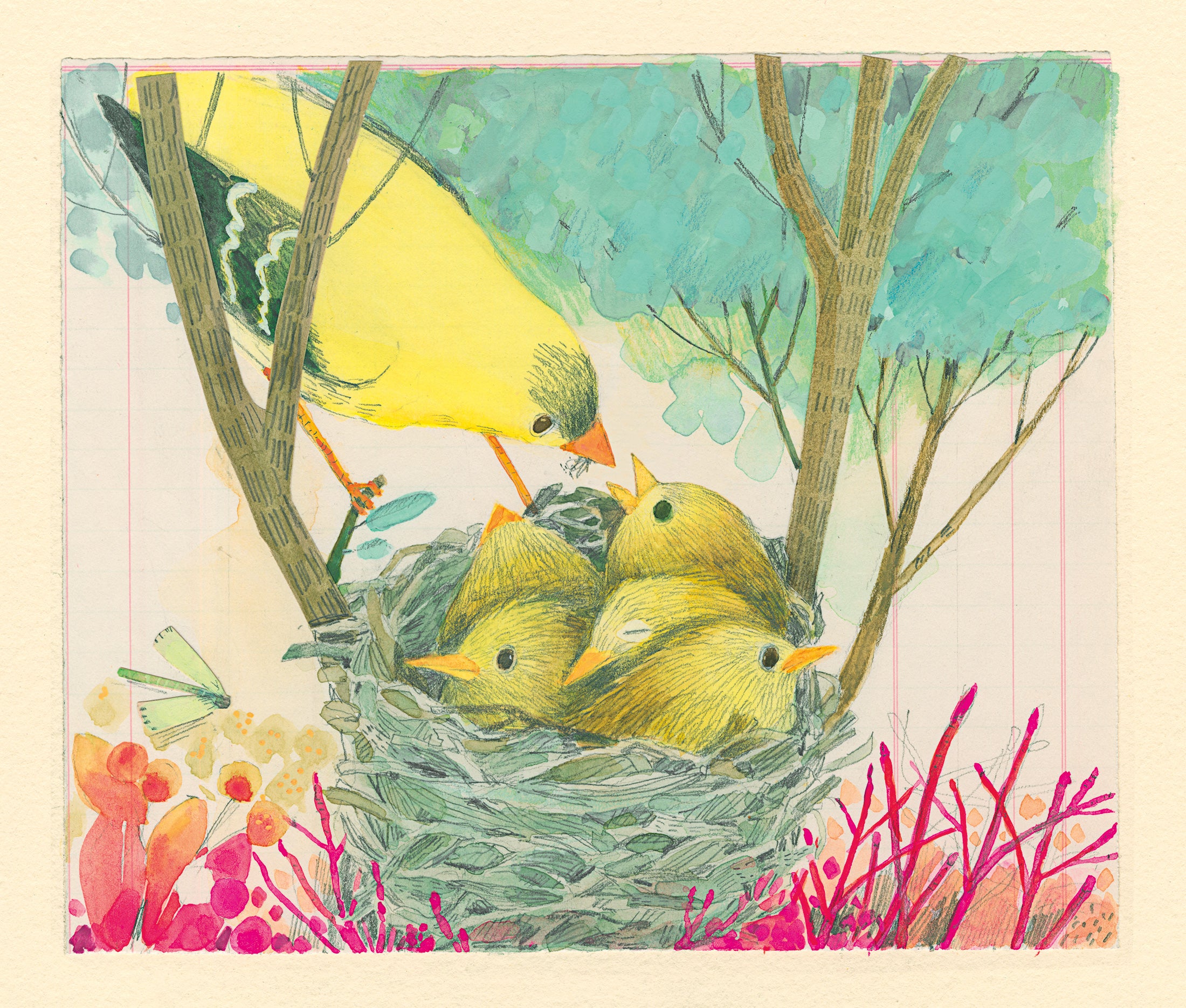 A colorful, whimsical illustration of an adult goldfinch feeding its five chicks in a nest.  