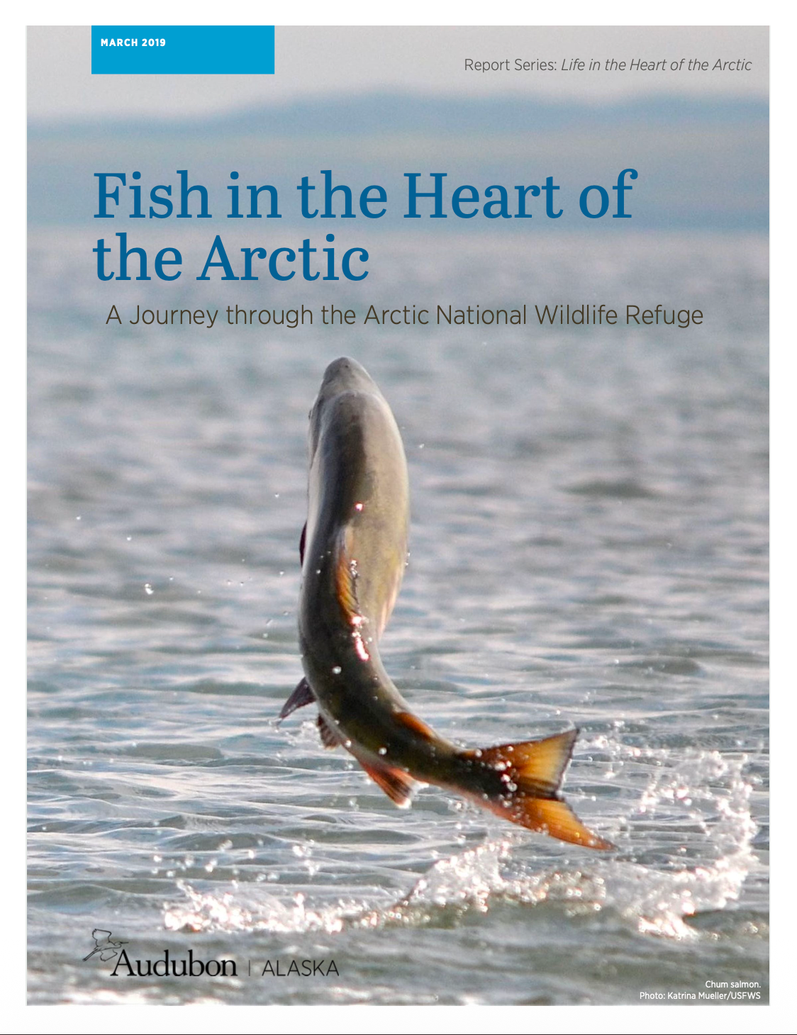 Cover of report with fish
