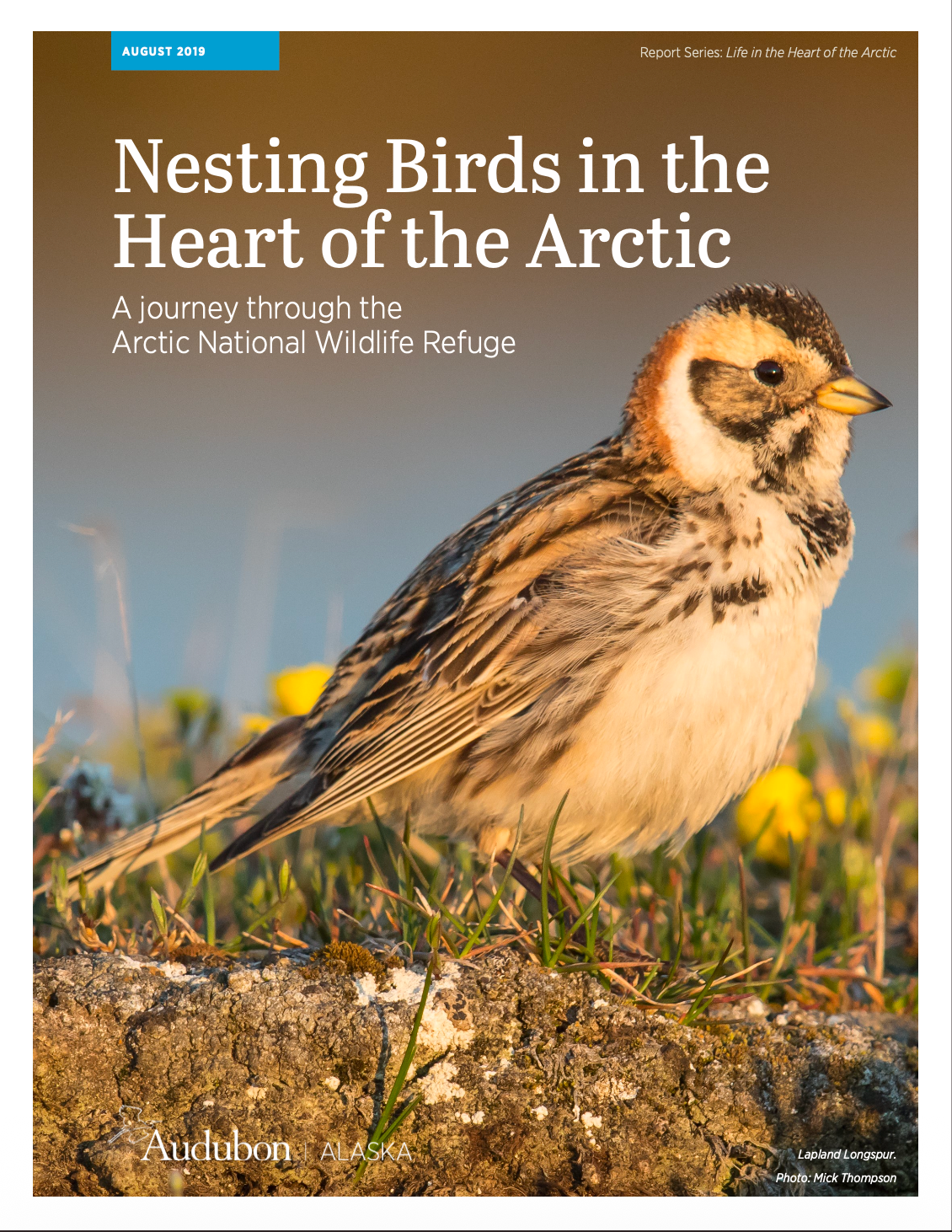 Cover of report with bird