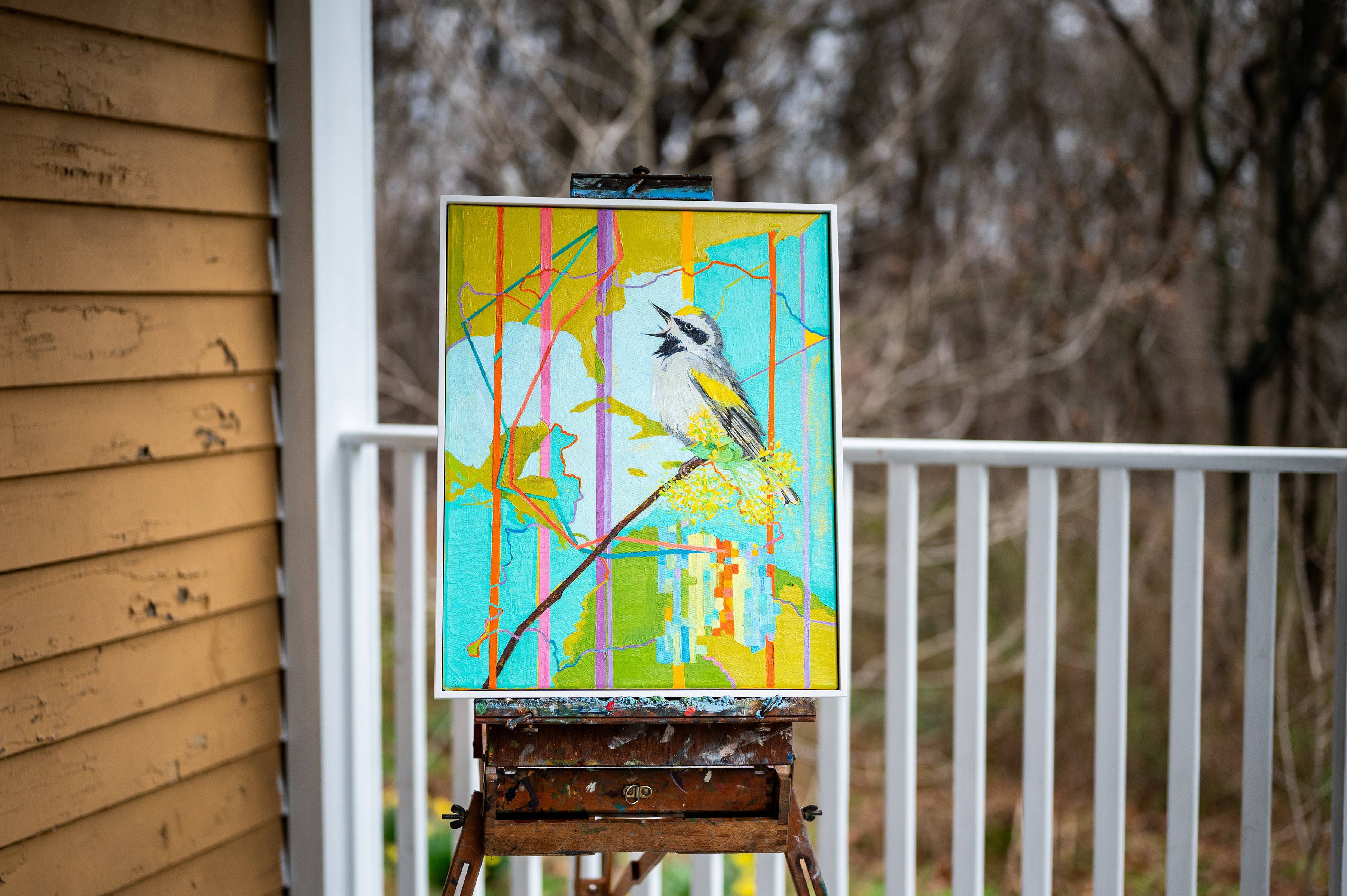 Deirdre's painting of a Golden-winged Warbler with a map in the background, displayed on an easel outside on a porch.