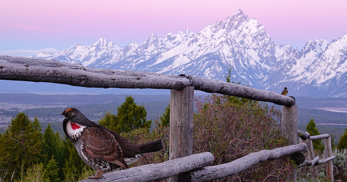 Love Our Public Lands? That Means Maintaining Them Love Our Public Lands? That Means Maintaining Them