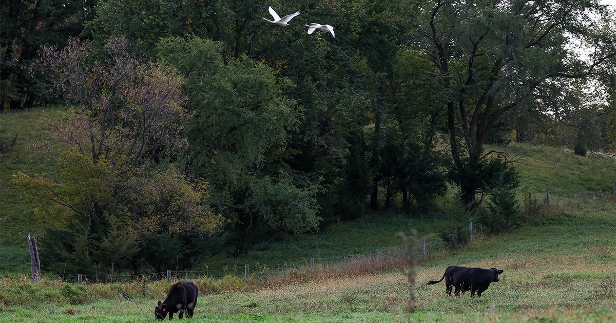 Senate Agriculture Committee Releases Farm Bill Proposal Senate Agriculture Committee Releases Farm Bill Proposal