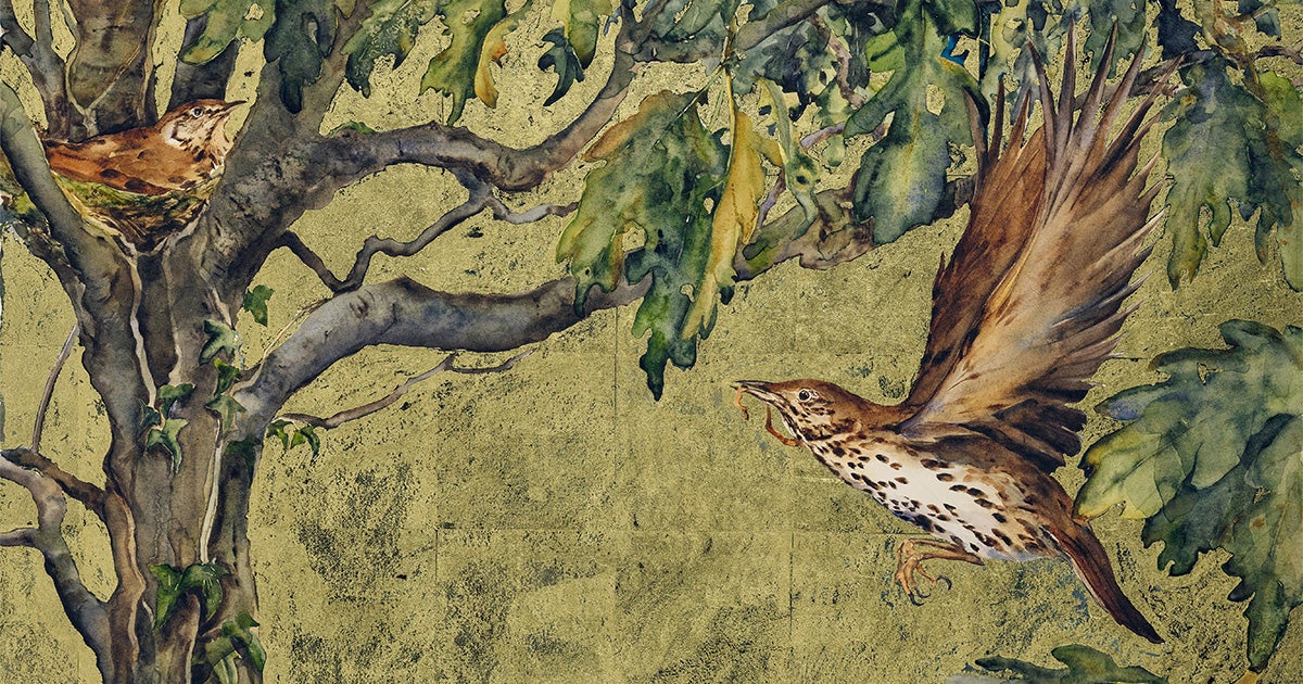 Got to Add These 6 Birdy Books to Your Summer Reading List article