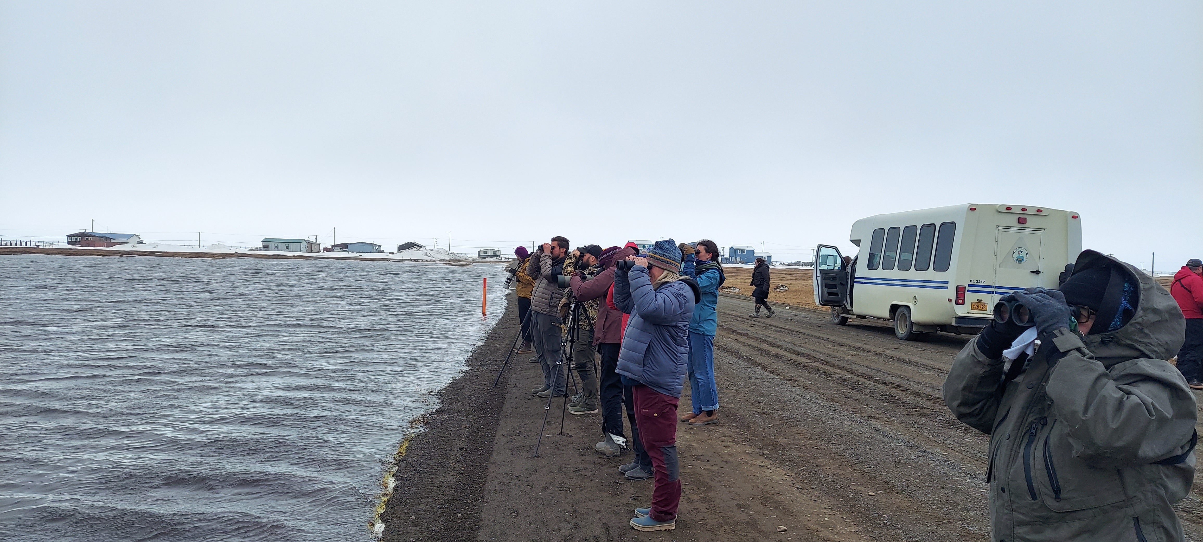 People birding on beach