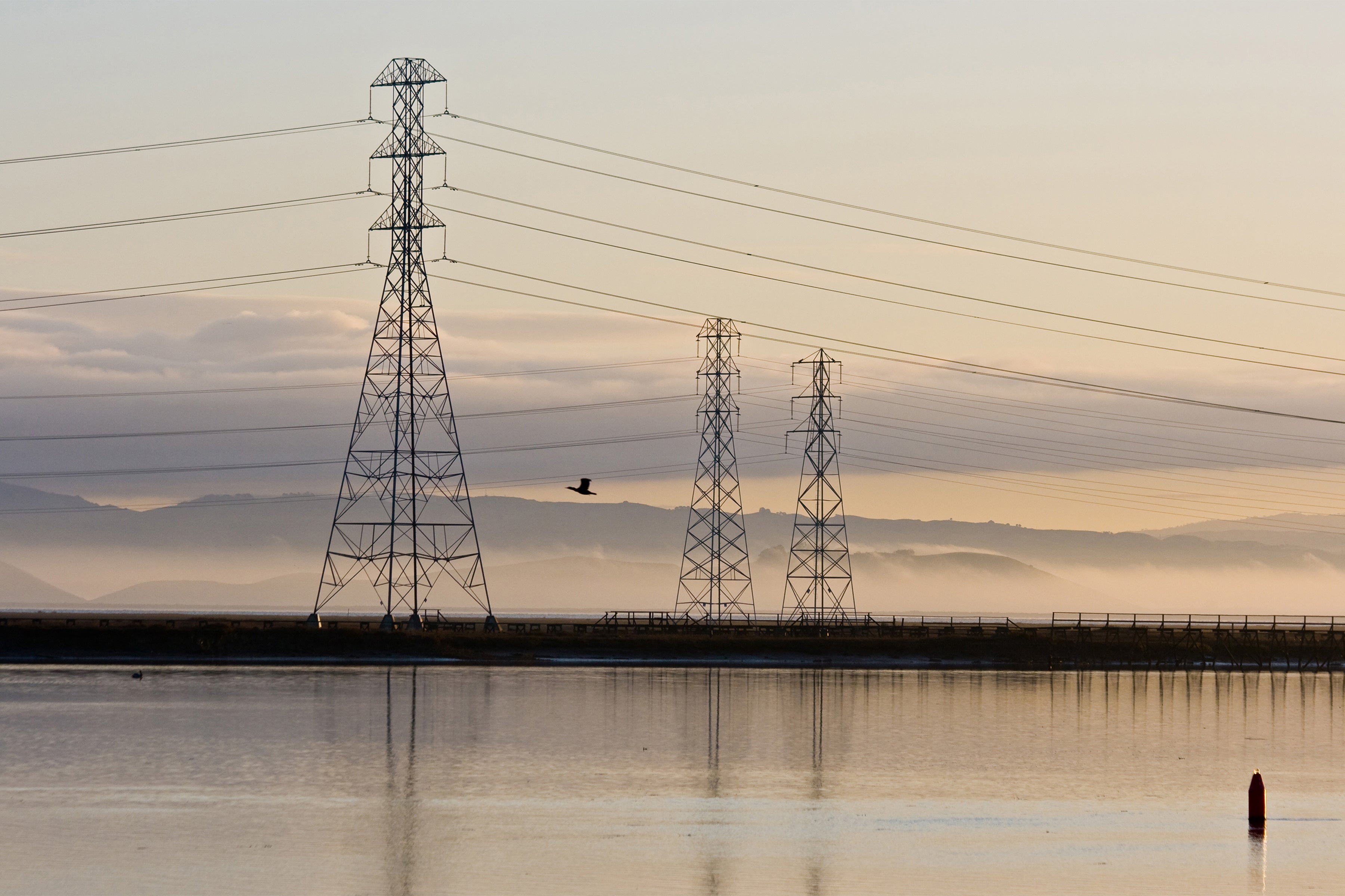 A Double-crested Cormorant flies over a body of water next to transmission towers and lines.