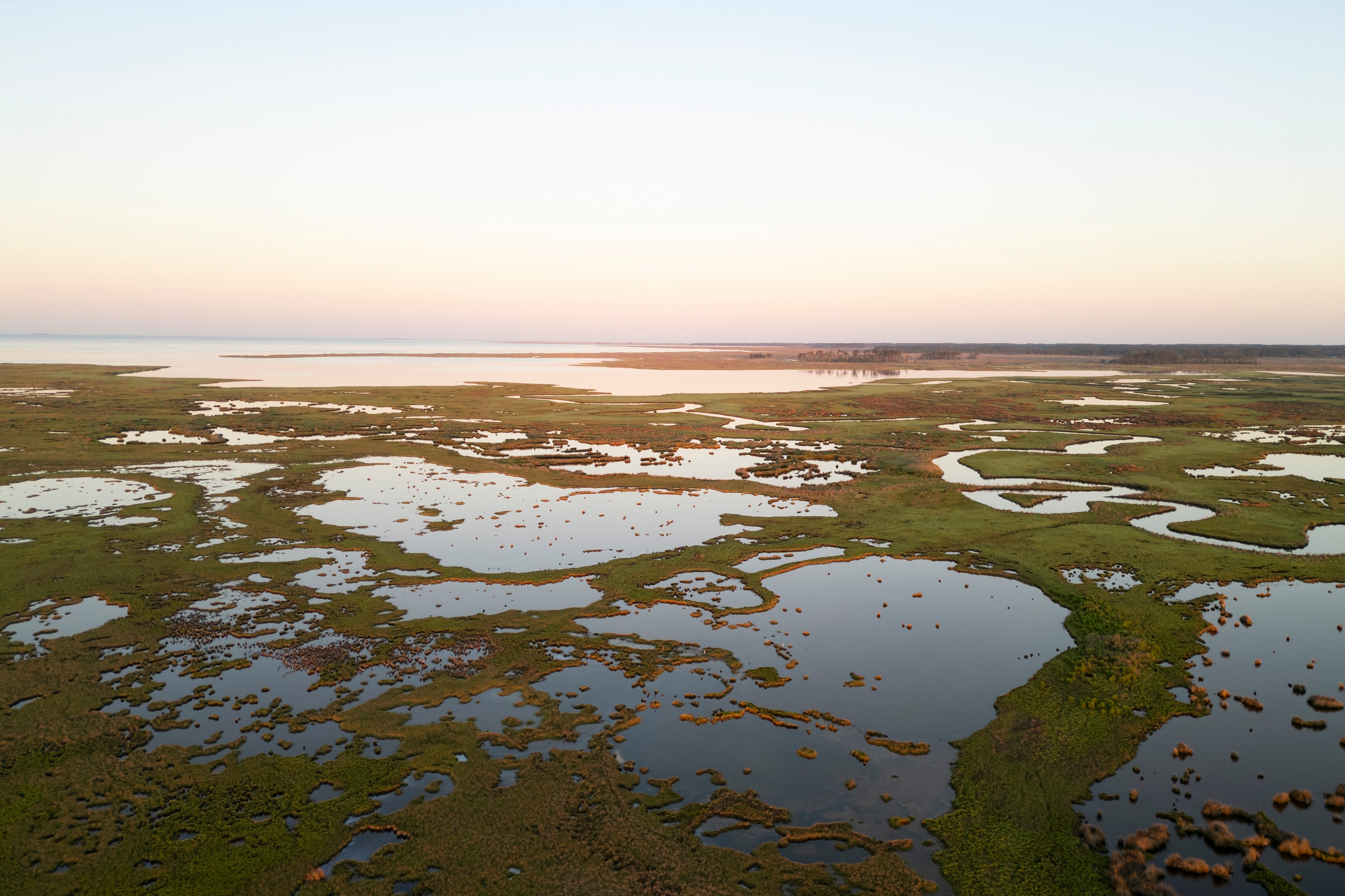 Aerial view of salt marsh on Maryland's Eastern Shore.