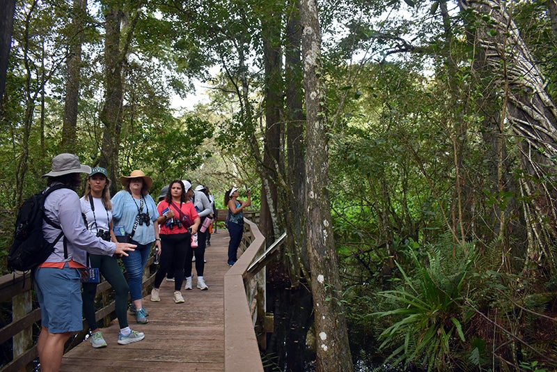 A group of people on a boardwalk.