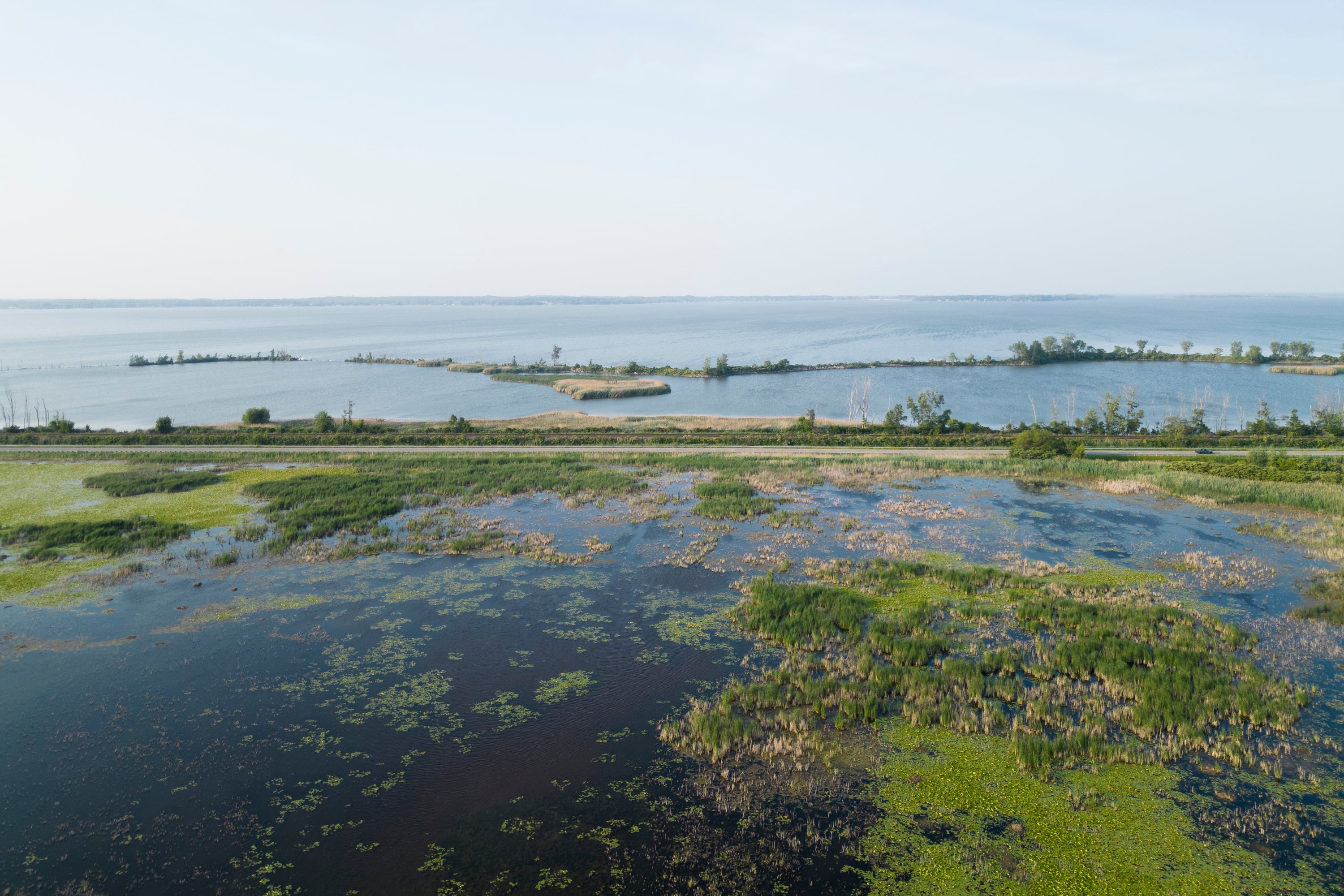 Aerial view of marsh sites in Ottawa County, Ohio.