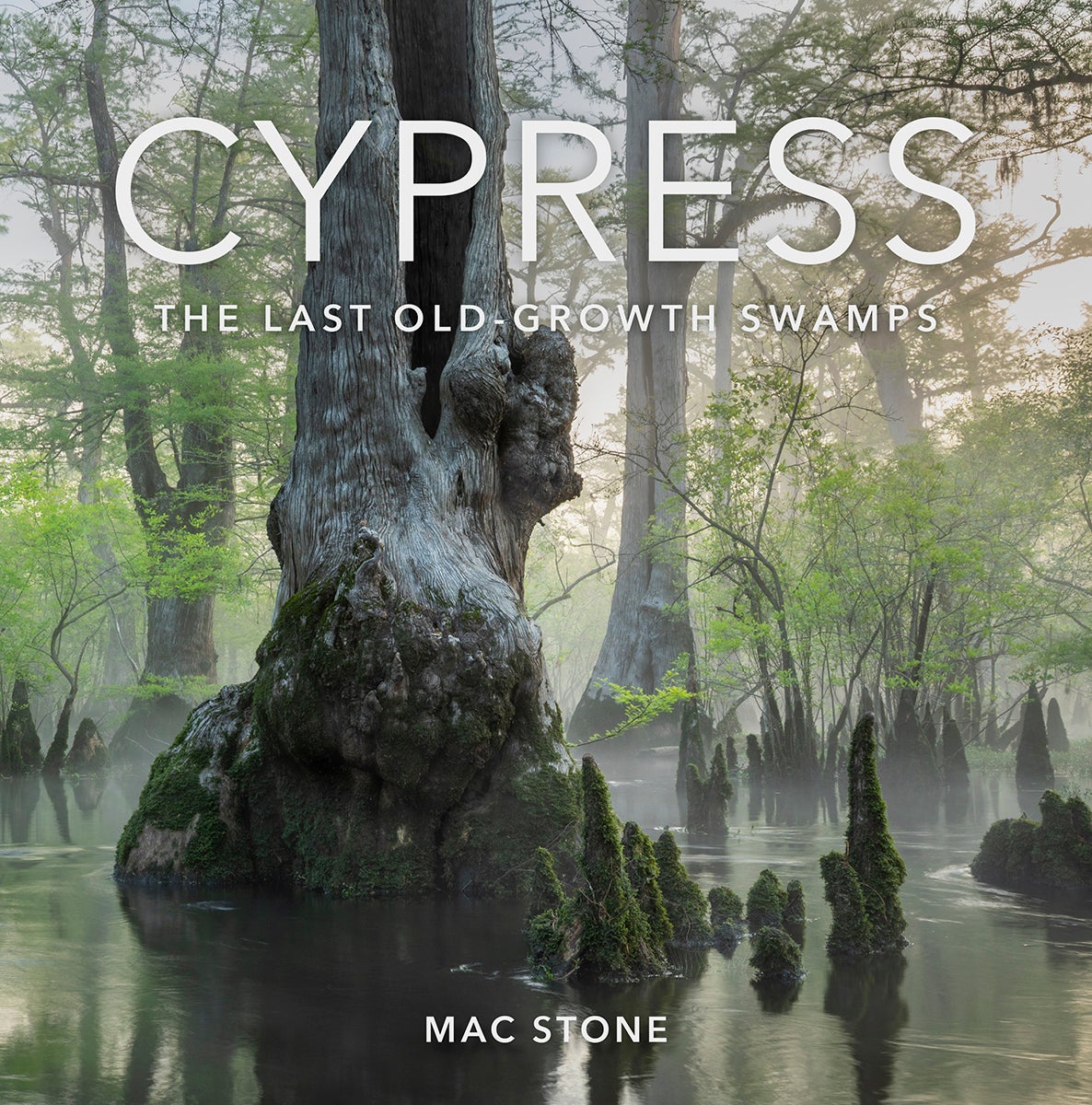 Book cover shows a cypress forest